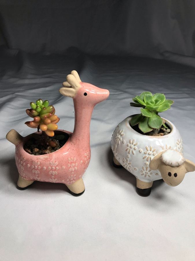 MACETAS DE ANIMALES